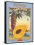 Papaya-Kerne Erickson-Framed Stretched Canvas