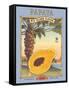 Papaya-Kerne Erickson-Framed Stretched Canvas