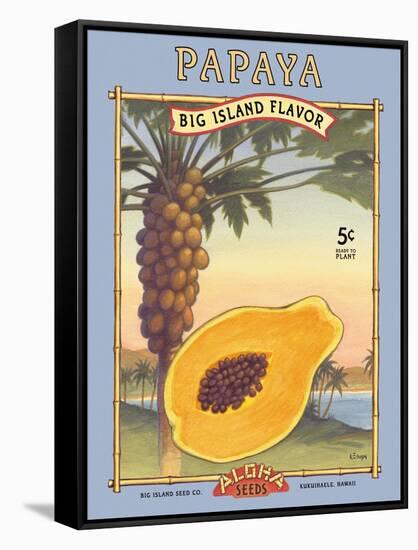 Papaya-Kerne Erickson-Framed Stretched Canvas