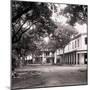 Papeetee Street Scene. Tahiti, Late 1800s-Charles Gustave Spitz-Mounted Photographic Print