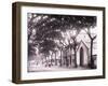 Papeetee Street Scene. Tahiti, Late 1800s-Charles Gustave Spitz-Framed Photographic Print