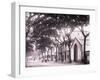 Papeetee Street Scene. Tahiti, Late 1800s-Charles Gustave Spitz-Framed Photographic Print