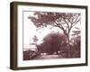 Papeetee Street Scene. Tahiti, Late 1800s-Charles Gustave Spitz-Framed Photographic Print