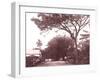 Papeetee Street Scene. Tahiti, Late 1800s-Charles Gustave Spitz-Framed Photographic Print