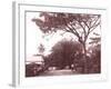 Papeetee Street Scene. Tahiti, Late 1800s-Charles Gustave Spitz-Framed Photographic Print