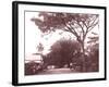 Papeetee Street Scene. Tahiti, Late 1800s-Charles Gustave Spitz-Framed Photographic Print