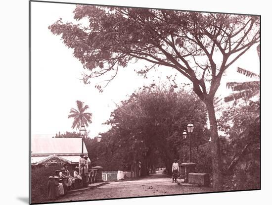 Papeetee Street Scene. Tahiti, Late 1800s-Charles Gustave Spitz-Mounted Photographic Print