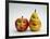 Paper Apple and Pear with Faces-Winfred Evers-Framed Photographic Print