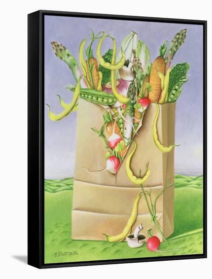 Paper Bag with Vegetables, 1992-E.B. Watts-Framed Stretched Canvas