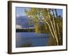 Paper Birch Along Fish Creek Pond at Sunset, New York, USA-Charles Gurche-Framed Photographic Print