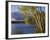 Paper Birch Along Fish Creek Pond at Sunset, New York, USA-Charles Gurche-Framed Photographic Print