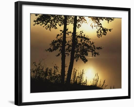 Paper Birch along Square Pond at sunrise, Adirondack Park and Preserve, New York, USA-Charles Gurche-Framed Photographic Print