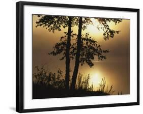 Paper Birch along Square Pond at sunrise, Adirondack Park and Preserve, New York, USA-Charles Gurche-Framed Photographic Print