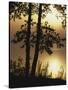 Paper Birch along Square Pond at sunrise, Adirondack Park and Preserve, New York, USA-Charles Gurche-Stretched Canvas