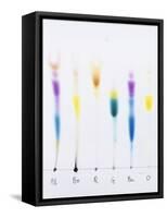 Paper Chromatography-Andrew Lambert-Framed Stretched Canvas