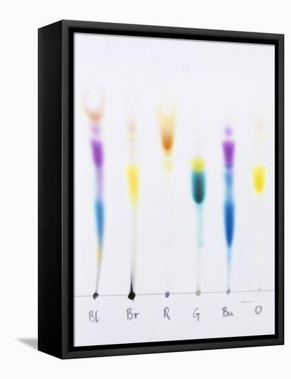 Paper Chromatography-Andrew Lambert-Framed Stretched Canvas