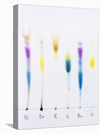 Paper Chromatography-Andrew Lambert-Stretched Canvas