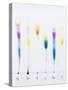 Paper Chromatography-Andrew Lambert-Stretched Canvas