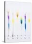 Paper Chromatography-Andrew Lambert-Stretched Canvas