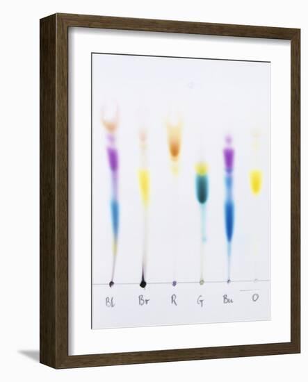 Paper Chromatography-Andrew Lambert-Framed Photographic Print