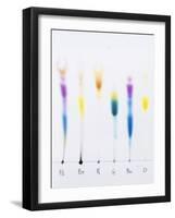 Paper Chromatography-Andrew Lambert-Framed Photographic Print