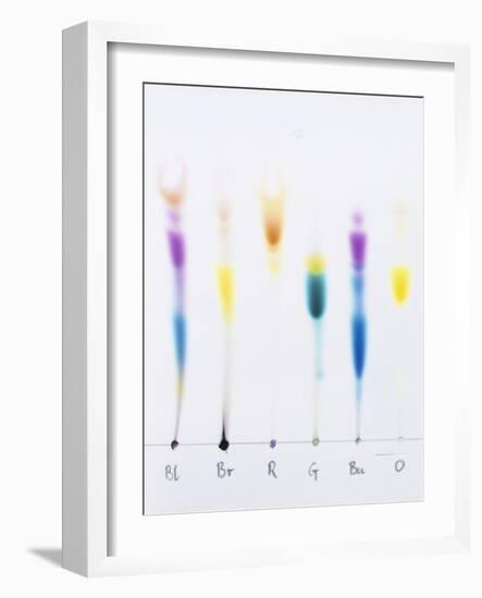 Paper Chromatography-Andrew Lambert-Framed Photographic Print