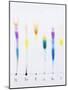 Paper Chromatography-Andrew Lambert-Mounted Photographic Print