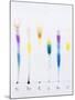 Paper Chromatography-Andrew Lambert-Mounted Photographic Print