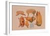 Paper Cutout Pig Dolls-null-Framed Art Print