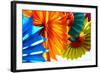 Paper Flowers-Gail Peck-Framed Photographic Print