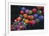 Paper Lanterns at Jangchung Park-null-Framed Photographic Print