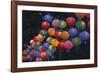 Paper Lanterns at Jangchung Park-null-Framed Photographic Print