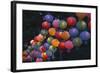 Paper Lanterns at Jangchung Park-null-Framed Photographic Print