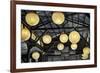 Paper Lanterns Hanging in a Barn in Charleston, SC with Thomas Edison Quote-null-Framed Photo