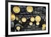 Paper Lanterns Hanging in a Barn in Charleston, SC with Thomas Edison Quote-null-Framed Photo