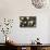 Paper Lanterns Hanging in a Barn in Charleston, SC-null-Photo displayed on a wall