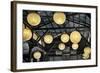 Paper Lanterns Hanging in a Barn in Charleston, SC-null-Framed Photo