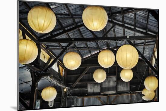 Paper Lanterns Hanging in a Barn in Charleston, SC-null-Mounted Photo