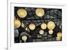 Paper Lanterns Hanging in a Barn in Charleston, SC-null-Framed Photo