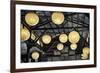 Paper Lanterns Hanging in a Barn in Charleston, SC-null-Framed Photo