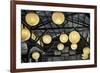 Paper Lanterns Hanging in a Barn in Charleston, SC-null-Framed Photo