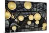 Paper Lanterns Hanging in a Barn in Charleston, SC-null-Mounted Photo