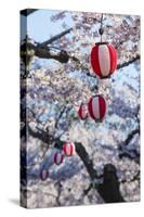 Paper lanterns hanging in the blooming cherry trees, Fort Goryokaku, Hakodate, Hokkaido, Japan, Asi-Michael Runkel-Stretched Canvas