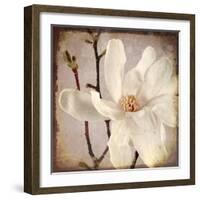 Paper Magnolia Closeup-LightBoxJournal-Framed Giclee Print