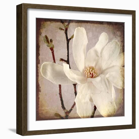 Paper Magnolia Closeup-LightBoxJournal-Framed Giclee Print