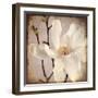 Paper Magnolia Closeup-LightBoxJournal-Framed Giclee Print