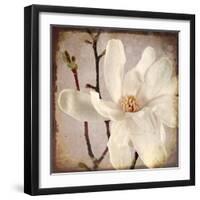 Paper Magnolia Closeup-LightBoxJournal-Framed Giclee Print