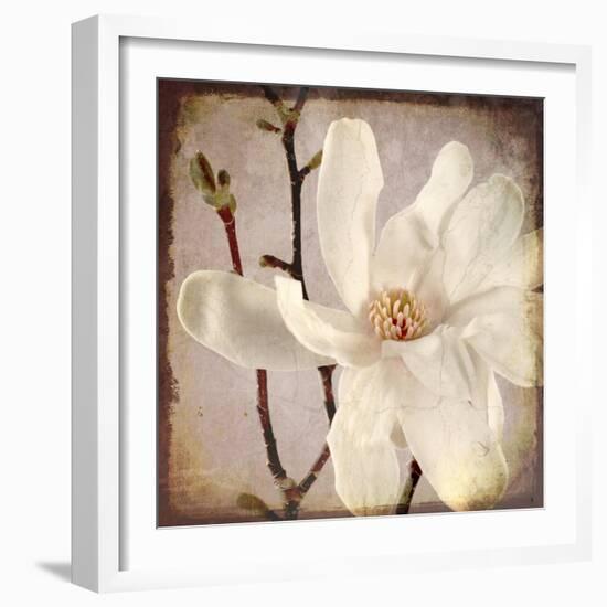 Paper Magnolia Closeup-LightBoxJournal-Framed Giclee Print