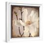 Paper Magnolia Closeup-LightBoxJournal-Framed Giclee Print