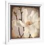 Paper Magnolia Closeup-LightBoxJournal-Framed Giclee Print